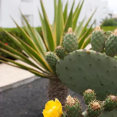 Club Siroco (adults Only) アパート *