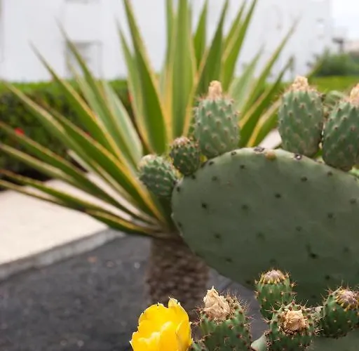 Club Siroco (adults Only) Apartment *